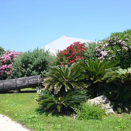I Mulini Trapani